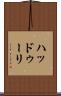 ハッドゥーリ Scroll