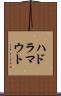 ハドラマウト Scroll