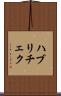 ハブリチェク Scroll
