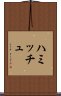 ハミッチュ Scroll