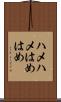 ハメハメ Scroll