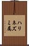 ハリネズミ属 Scroll