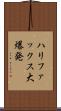 ハリファックス大爆発 Scroll
