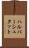 ハルバーシュタット Scroll