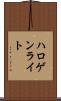 ハロゲン・ライト Scroll