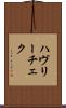 ハヴリーチェク Scroll