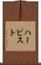 ハーピスト Scroll
