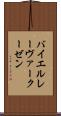 バイエル・レーヴァークーゼン Scroll