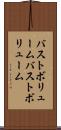 バストボリューム Scroll