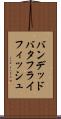 バンデッドバタフライフィッシュ Scroll