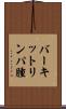 バーキットリンパ腫 Scroll