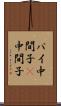 パイ中間子 Scroll