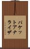 パケット・アナライザ Scroll