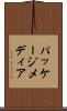 パッケージ・メディア Scroll