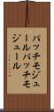 パッチモジュール Scroll