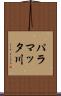 パラマッタ川 Scroll