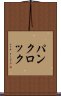 パンクロック Scroll