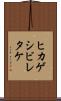 ヒカゲシビレタケ Scroll