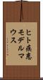 ヒト疾患モデルマウス Scroll