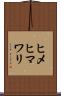 ヒメヒマワリ Scroll