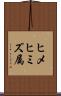 ヒメヒミズ属 Scroll