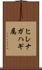 ヒレナガハギ属 Scroll
