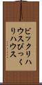 ビックリハウス Scroll