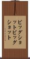 ビッグショット Scroll
