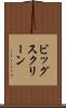 ビッグ・スクリーン Scroll