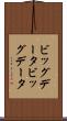 ビッグデータ Scroll