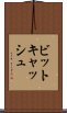 ビットキャッシュ Scroll