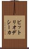 ビットリオデシーカ Scroll