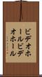 ビデオホール Scroll