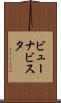 ビューナビスタ Scroll