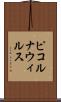 ピコルナウィルス Scroll