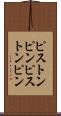ピストンピン Scroll