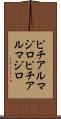 ピチアルマジロ Scroll