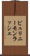 ピュリニーモンラッシェ Scroll