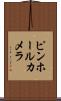 ピンホールカメラ Scroll