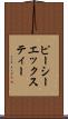 ピーシーエックスティー Scroll