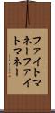 ファイトマネー Scroll