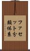 ファセット分類体系 Scroll
