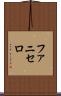 ファニセロ Scroll