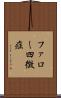 ファロー四徴症 Scroll