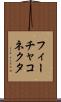 フィーチャ・コネクタ Scroll