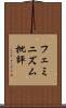 フェミニズム批評 Scroll