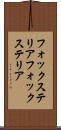 フォックステリア Scroll