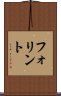 フォリント Scroll
