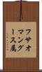 フサオマングース属 Scroll