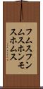 フムス Scroll